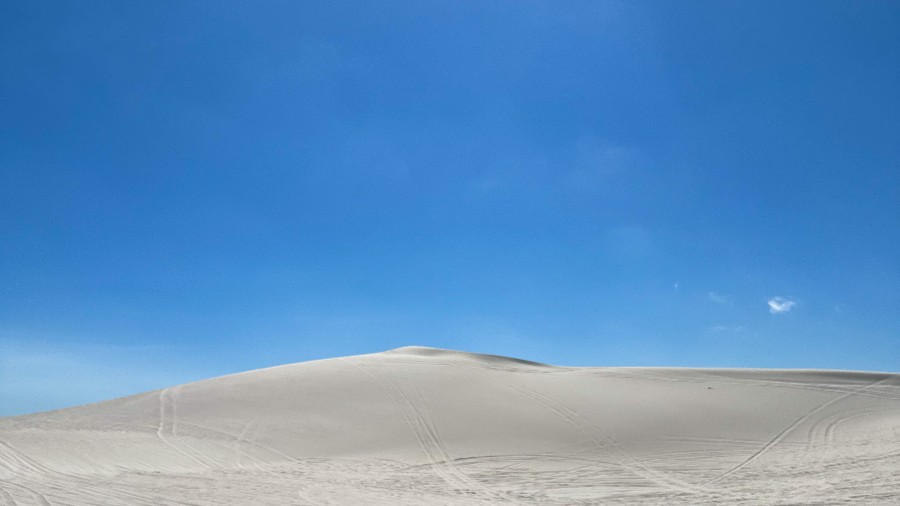 Vezity Visuals Collective